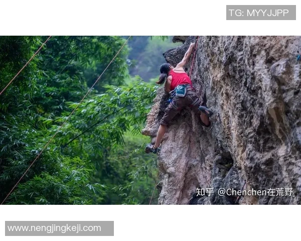 从零基础到高手：全面提升攀岩力量的实用指南与训练计划