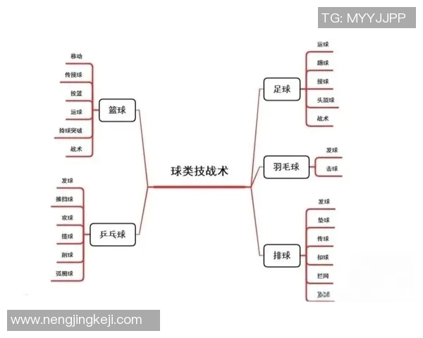 南京篮球队反击战术分析及其在比赛中的得失总结