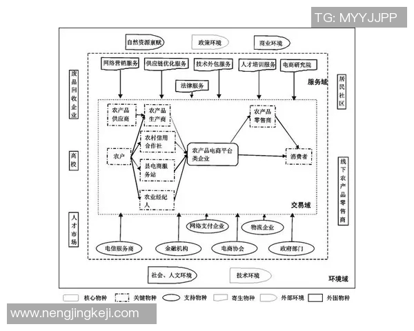 以交易为核心构建未来商业生态系统的创新发展路径分析
